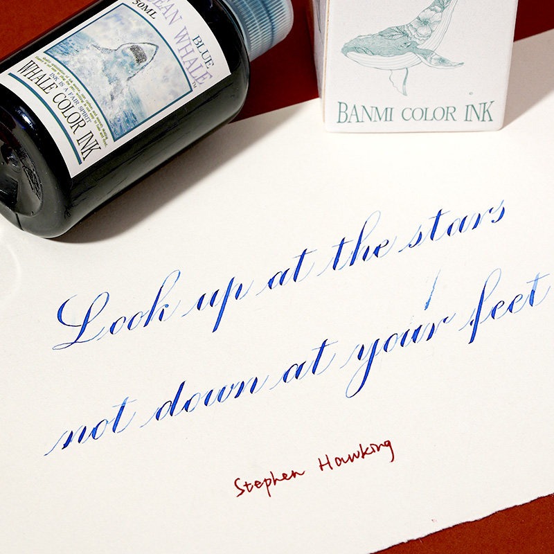 Чернила для перьевых ручек Ban – обзор и цена Fountain Pen Bottled Ink